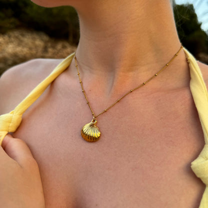 Gold Shell Necklace